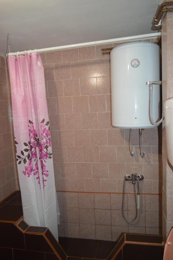 Apartman Km Dordevic Soko Banja Exterior photo